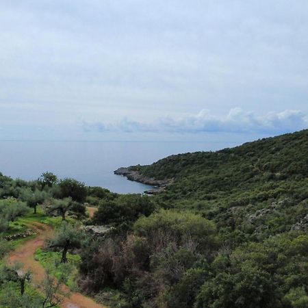 Velonas Beach Mpakas Country Cottage Prosilio  Extérieur photo